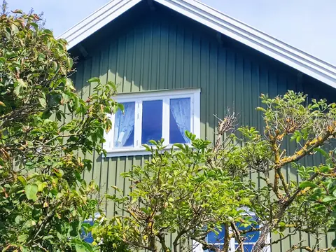 Grönt trähus med vita fönster bakom lummiga träd