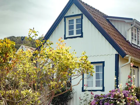 Vitt trähus med blå knutar och en rosenträdgård framför